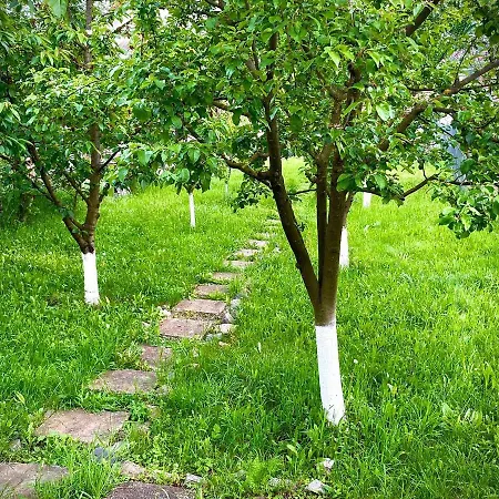 Casa Teresa Cluj-Napoca