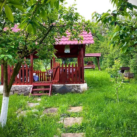 Casa Teresa *